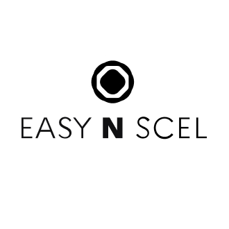 Image representant le projet Easy n scel